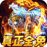 武器之王(免月卡无限进化)